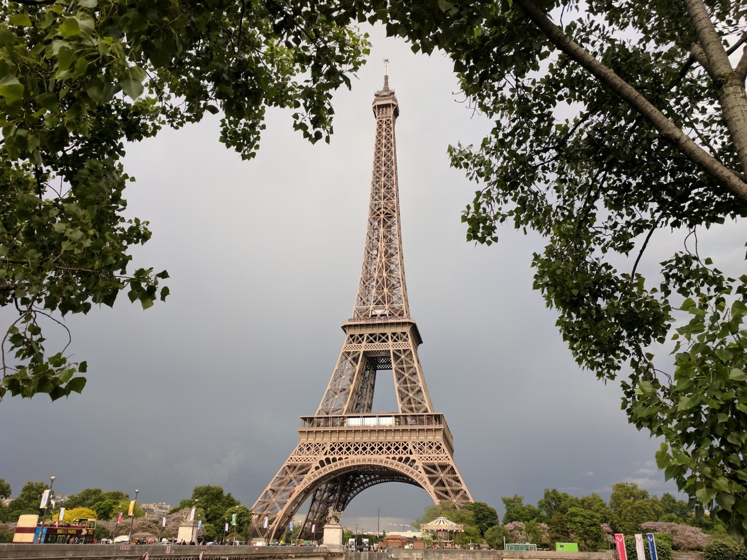 The Eiffel Tower rising above trees in Paris